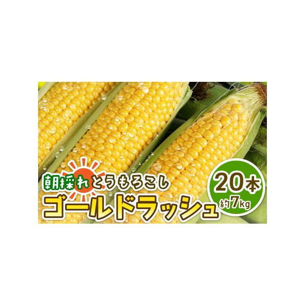 ■ 容量　【容量】　20本　　【原材料】　とうもろこし　　【アレルギー】　なし　　【消費期限】　到着後はお早めにお召し上りください。　　【保存方法】　冷蔵保存■ 配送について　・通年受け付けております。　・7月中旬~8月上旬頃の期間において...