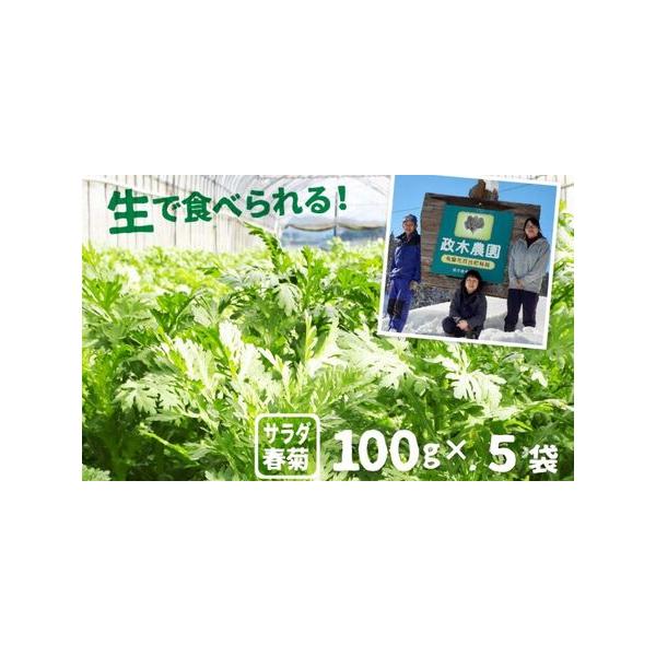 ■ 容量　サラダ春菊 100g × 5袋　計500g■ 配送について　2026年6月上旬〜10月末に収穫次第順次発送します。　タイプ：【冷蔵】