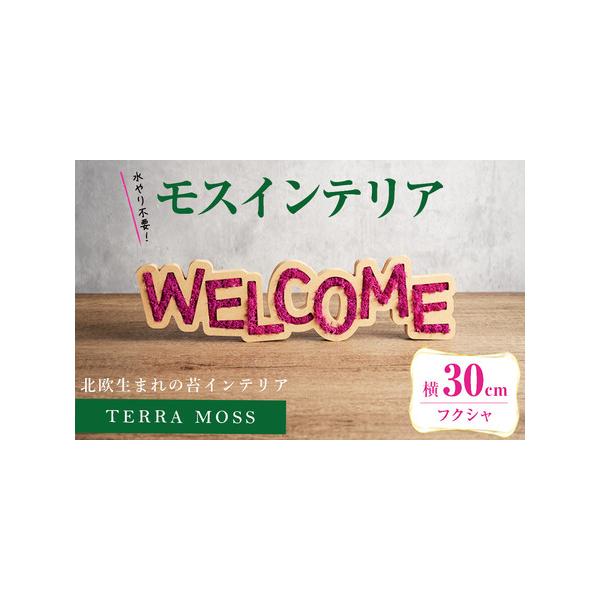 ■ 容量　モスインテリア「WELCOME」：1個　■サイズ：横300mm・高さ80mm・幅15mm　　★こちらのページからは　　「フクシャ」の申込ができます。■ 配送について　入金確認後、1ヶ月以内に発送　※配送日はご指定いただけませんので...