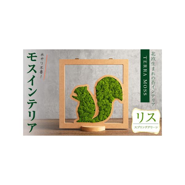 ■ 容量　モスインテリア「リス」：1個　■サイズ：横200mm・高さ200mm・幅15mm　　★こちらのページからは　　「スプリンググリーン」の申込ができます。■ 配送について　入金確認後、1ヶ月以内に発送　※配送日はご指定いただけませんの...