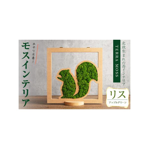 ■ 容量　モスインテリア「リス」：1個　■サイズ：横200mm・高さ200mm・幅15mm　　★こちらのページからは　　「アップルグリーン」の申込ができます。■ 配送について　入金確認後、1ヶ月以内に発送　※配送日はご指定いただけませんので...