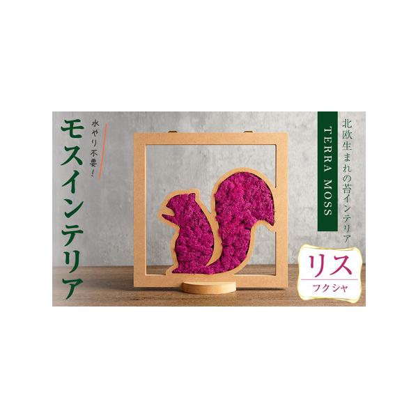■ 容量　モスインテリア「リス」：1個　■サイズ：横200mm・高さ200mm・幅15mm　　★こちらのページからは　　「フクシャ」の申込ができます。■ 配送について　入金確認後、1ヶ月以内に発送　※配送日はご指定いただけませんので、ご了承...
