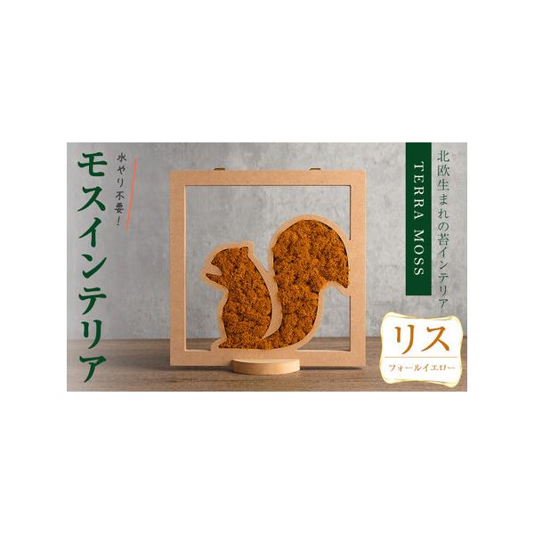 ■ 容量　モスインテリア「リス」：1個　■サイズ：横200mm・高さ200mm・幅15mm　　★こちらのページからは　　「フォールイエロー」の申込ができます。■ 配送について　入金確認後、1ヶ月以内に発送　※配送日はご指定いただけませんので...