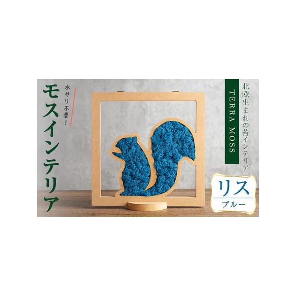 ■ 容量　モスインテリア「リス」：1個　■サイズ：横200mm・高さ200mm・幅15mm　　★こちらのページからは　　「ブルー」の申込ができます。■ 配送について　入金確認後、1ヶ月以内に発送　※配送日はご指定いただけませんので、ご了承く...