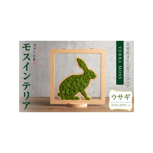 ■ 容量　モスインテリア「ウサギ」：1個　■サイズ：横200mm・高さ200mm・幅15mm　　★こちらのページからは　　「スプリンググリーン」の申込ができます。■ 配送について　入金確認後、1ヶ月以内に発送　※配送日はご指定いただけません...