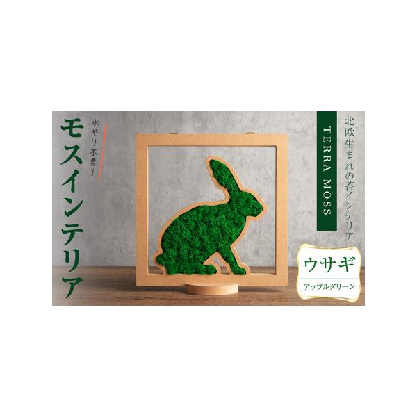 ■ 容量　モスインテリア「ウサギ」：1個　■サイズ：横200mm・高さ200mm・幅15mm　　★こちらのページからは　　「アップルグリーン」の申込ができます。■ 配送について　入金確認後、1ヶ月以内に発送　※配送日はご指定いただけませんの...