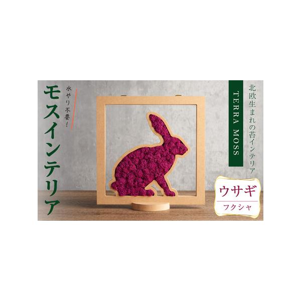 ■ 容量　モスインテリア「ウサギ」：1個　■サイズ：横200mm・高さ200mm・幅15mm　　★こちらのページからは　　「フクシャ」の申込ができます。■ 配送について　入金確認後、1ヶ月以内に発送　※配送日はご指定いただけませんので、ご了...