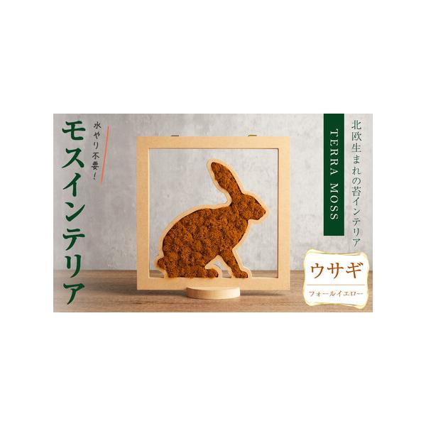 ■ 容量　モスインテリア「ウサギ」：1個　■サイズ：横200mm・高さ200mm・幅15mm　　★こちらのページからは　　「フォールイエロー」の申込ができます。■ 配送について　入金確認後、1ヶ月以内に発送　※配送日はご指定いただけませんの...