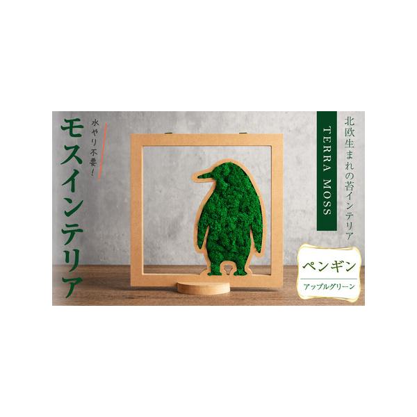 ■ 容量　モスインテリア「ペンギン」：1個　■サイズ：横200mm・高さ200mm・幅15mm　　★こちらのページからは　　「アップルグリーン」の申込ができます。■ 配送について　入金確認後、1ヶ月以内に発送　※配送日はご指定いただけません...