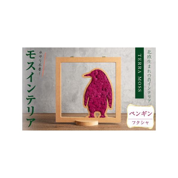 ■ 容量　モスインテリア「ペンギン」：1個　■サイズ：横200mm・高さ200mm・幅15mm　　★こちらのページからは　　「フクシャ」の申込ができます。■ 配送について　入金確認後、1ヶ月以内に発送　※配送日はご指定いただけませんので、ご...