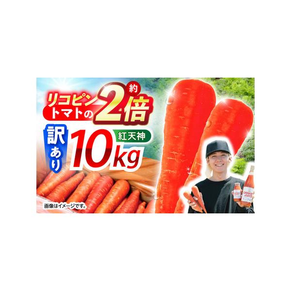 ■ 容量　【訳あり】ブランド人参「紅天神」 10kg■ 配送について　2026年1月上旬頃から順次発送予定　※天候等の影響により多少前後する場合がございます。　タイプ：【冷蔵】