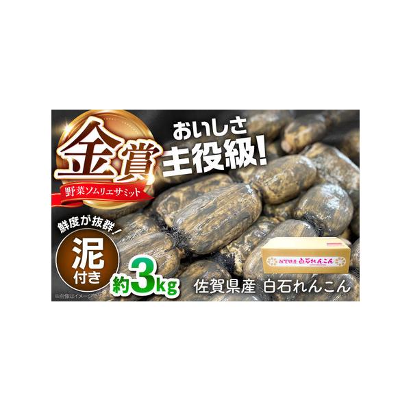 ■ 容量　れんこん（泥付き）：約3kg　　                         ※気温により冷蔵でお送りする場合がございます。                         ■ 配送について　                 ...