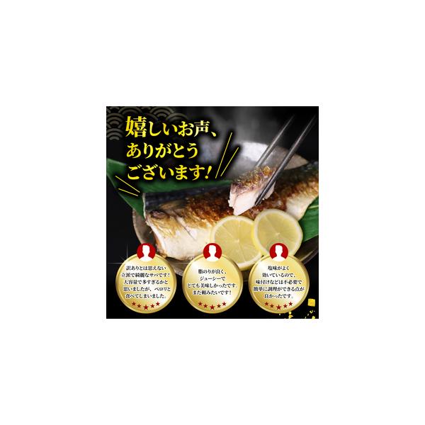 furunavi_1550458_2_d_20260219160908