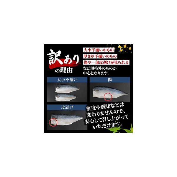 furunavi_1550458_3_d_20260219160908