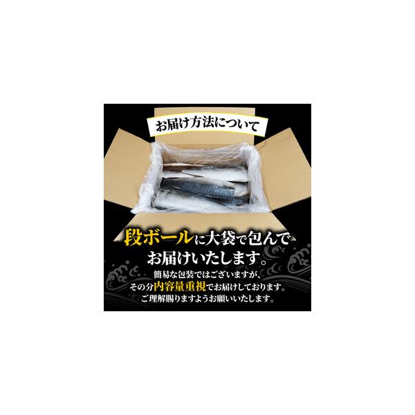 furunavi_1550458_4_d_20260219160908