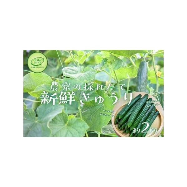 ■ 容量　約2kg 　秀級品■ 配送について　発送期日：【発送期間 4月上旬〜6月上旬】   寄付日：毎年9/21から5/20  【発送期間 8月下旬〜10月下旬】 寄付日：毎年6/1から9/20　タイプ：【冷蔵】