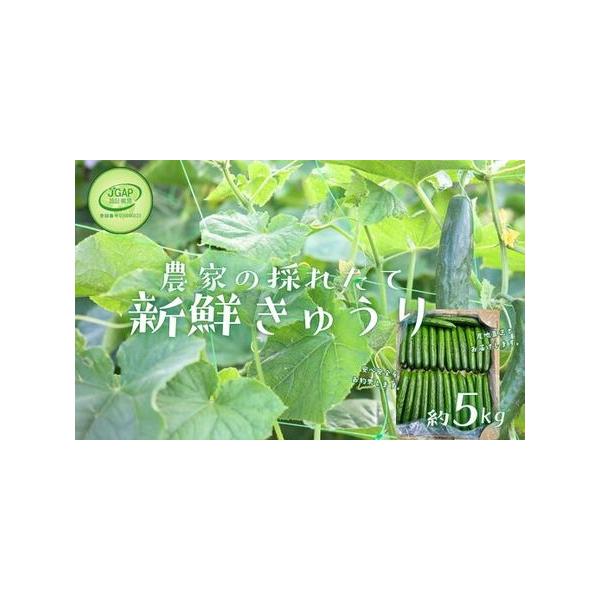 ■ 容量　約5kg 　秀級品■ 配送について　発送期日：　【発送期間 4月上旬〜6月上旬】 寄付日：毎年9/21から5/20  　【発送期間 8月下旬〜10月下旬】 寄付日：毎年6/1から9/20　タイプ：【冷蔵】