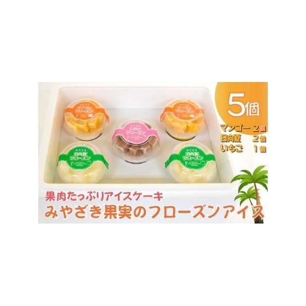■ 容量　フローズンアイス170g×5個(マンゴー2個、日向夏2個、いちご1個)■ 配送について　ご注文日より7日以降で配達日指定可能です。　タイプ：【冷凍】