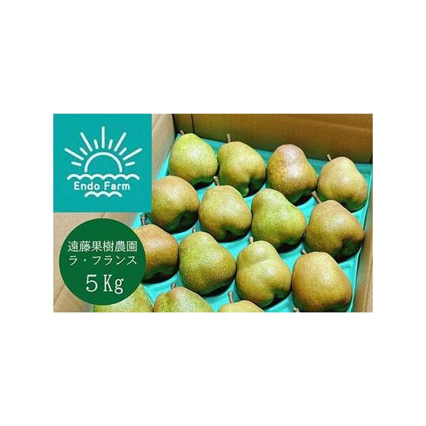 ■ 容量　ラ・フランス　等級：秀　容量：約5kg　サイズ：L〜2L　※玉の大きさはL（20玉入り）または2L（18玉入り）になります。サイズはお選びいただけませんのでご了承ください。　■ 配送について　令和8年11月上旬〜12月上旬にかけて...