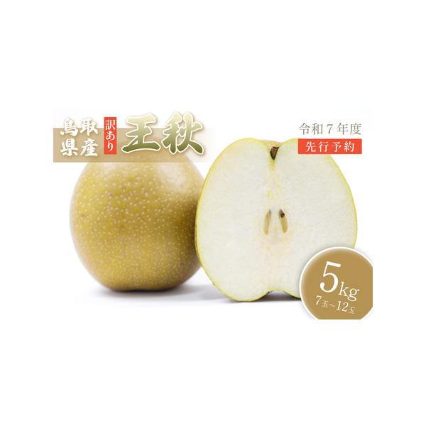 ■ 容量　1箱 5kg（約7玉〜12玉）（訳あり）■ 配送について　お届けの日付指定は受付出来ません。　タイプ：【常温】