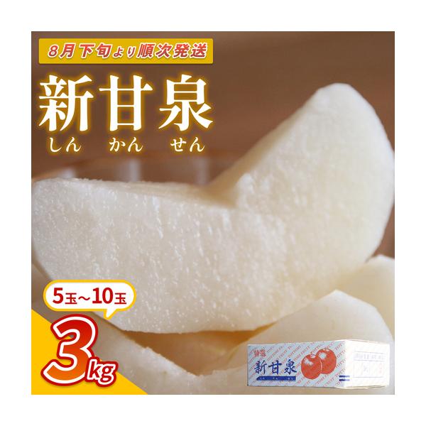 ふるさと納税 【先行予約】中野農園 梨 ”新甘泉” 3kg箱｜鳥取 岩美 梨 なし ナシ※お届けは2026年8月下旬以降【41020】 鳥取県岩美町