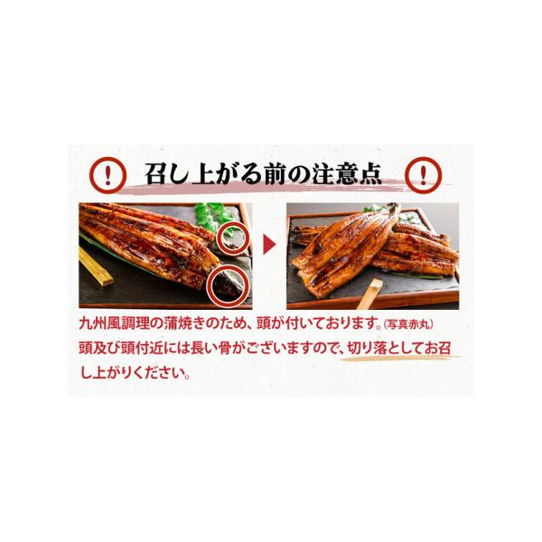 furunavi_1555259_3_d_20250602150246