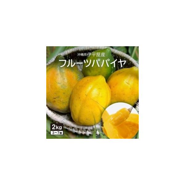 ふるさと納税 伊平屋産のフルーツパパイヤ 2kg【配送不可地域：離島】【1497086】 沖縄県伊平屋村