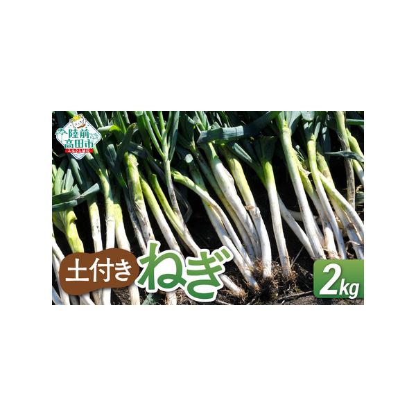 ■ 容量　【容量】　長ねぎ(土付き)：約2kg　　【賞味期限】　お受け取り後なるべく早めにお召し上がりください。■ 配送について　決済から1ヶ月以内に発送予定　※天候や生育状況により、発送時期は多少前後いたします。　タイプ：【常温】