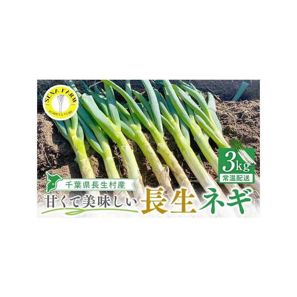 ■ 容量　3kg■ 配送について　・入金確認後、通常3週間以内で順次発送します。 　※不在の期間がある場合は、申込の際「自治体からのアンケート」欄の「その他連絡事項」にご記入ください。　タイプ：【常温】