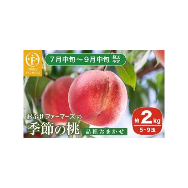 ■ 容量　季節の桃 約2kg 5〜9玉　たまき、なつき、あかつき、川中島白鳳、なつっこ、川中島白桃、黄金桃、だて白桃などの中からいずれかの1品種　※品種の指定はできません■ 配送について　2026年7月中旬〜9月中旬予定　※天候や収穫状況に...