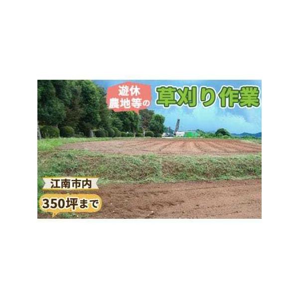 ■ 容量　【内容】　■内容/サービス提供地　江南市内の未耕作農地等の草刈り作業（350坪、1155平方メートルまで）　サービス提供地：江南市　　＜ご利用の流れ＞　（1）事前に確認が必要の為、まずはご寄付前にFeel農園へお問い合わせください...