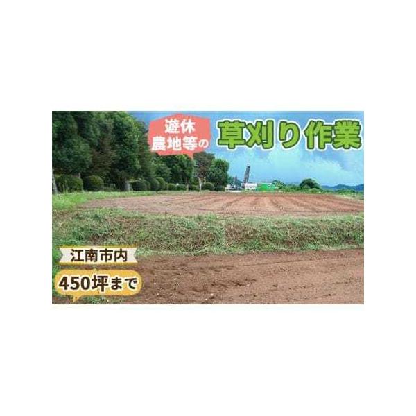 ■ 容量　【内容】　■内容/サービス提供地　江南市内の未耕作農地等の草刈り作業（450坪、1485平方メートルまで）　サービス提供地：江南市　　＜ご利用の流れ＞　（1）事前に確認が必要の為、まずはご寄付前にFeel農園へお問い合わせください...