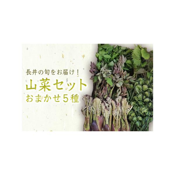 ■ 容量　700g以上■ 配送について　2026年04月下旬頃から05月中旬頃にかけて、寄付受付順に発送　タイプ：【冷蔵】