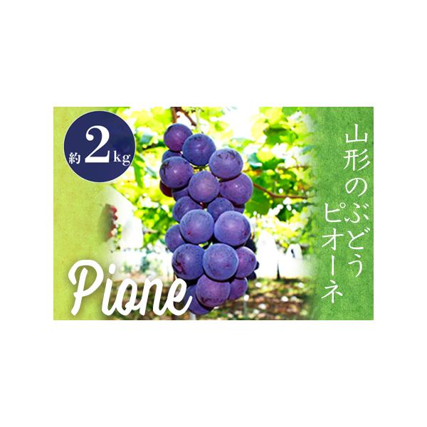 ■ 容量　約2kg（3〜5房）■ 配送について　2026年9月上旬頃〜10月下旬頃にかけて、寄付受付順に発送　タイプ：【冷蔵】