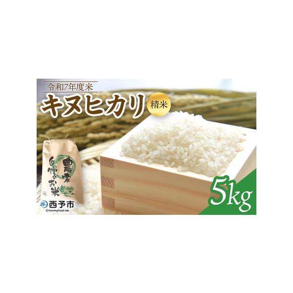 ふるさと納税 ＜令和7年度 米 キヌヒカリ 精米 5kg＞ 2025年産 きぬ