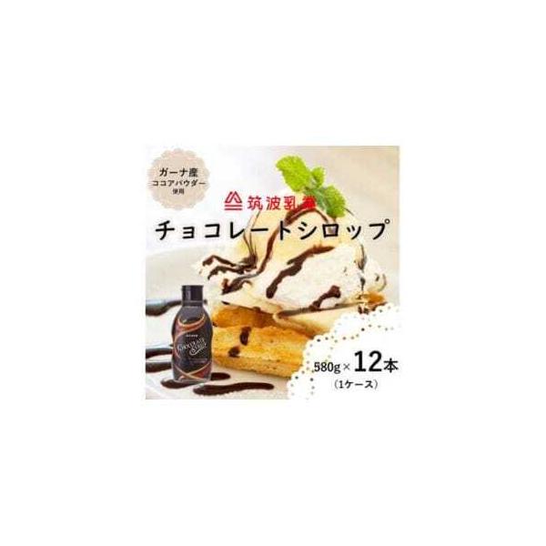 ■ 容量　チョコシートシロップ580g×12本（チョコソース）■ 配送について　【注意事項】　・特産品が届きましたら、直ちに開封し中身をご確認ください。　・万が一不備があった場合、到着日を含む３日以内にご連絡ください。　 なお、到着日より３...