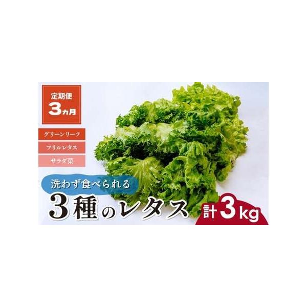 ■ 容量　＜商品名＞　【3ヵ月定期便】3種のレタス　　＜内容量＞　合計3回(月1回)下記内容をお届けいたします。　・フリルレタス(6株程度)　・グリーンオーク(2株程度)　・グリーンリーフ(2株程度)　各500g×2パック 計1kg　　＜賞...