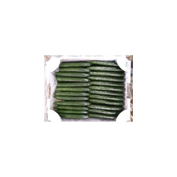 ■ 容量　※上記に記載■ 配送について　2026年1月より順次発送　タイプ：【冷蔵】