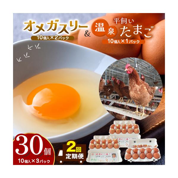 ふるさと納税 【定期便2回】オメガスリーたまご20個、平飼い温泉たまご10個詰め合わせ 長野県松本市