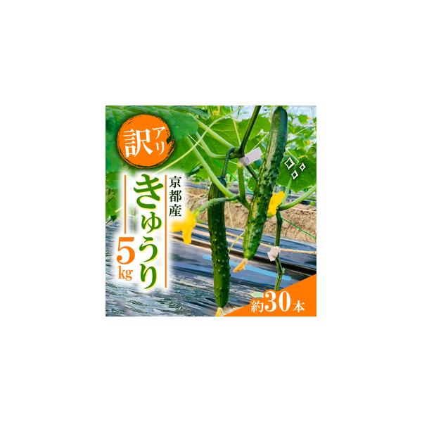 ■ 容量　5kg（約30〜40本）　タイプ：【常温】