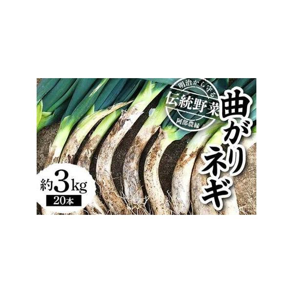 ■ 容量　■内容量/原産地　曲がり葱20本(約3kg)　原産地:福島県須賀川市　■ 配送について　2025年12月〜2026年2月まで　　タイプ：【常温】