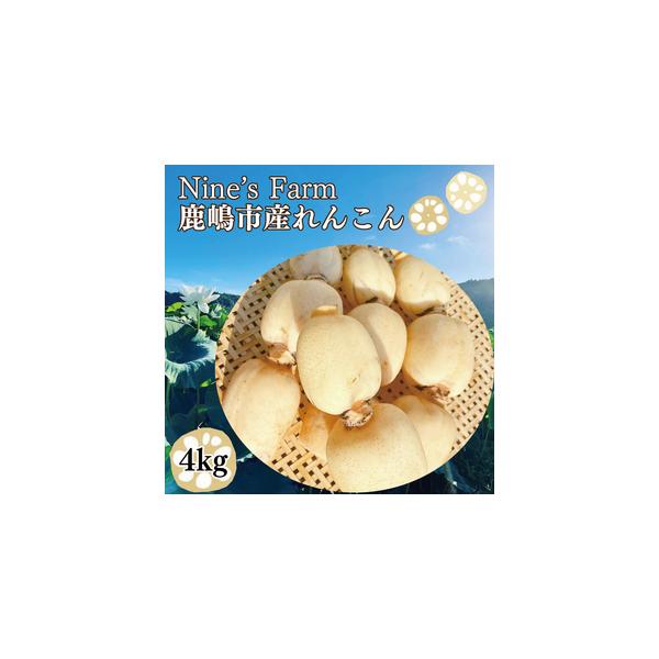 ■ 容量　1箱　約4kg　■ 配送について　ご入金確認後、2025年8月上旬より順次発送いたします。　※生産の都合により遅れる場合がございますのでご了承下さい。　　タイプ：【常温】