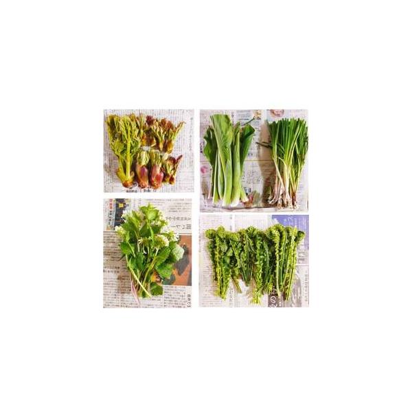 ■ 容量　※上記に記載■ 配送について　2026-04-01〜2026-06-15　タイプ：【冷蔵】