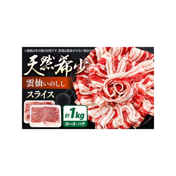 ■ 容量　約500g×2パック（真空パック）　　【加工地】　南島原市　■ 配送について　入金確認後1ヶ月程度で発送いたします。　※GW・お盆は、通常よりもお時間を頂く場合がございます。また、年末年始は寄附申込が集中するため、上記日数でご対応...