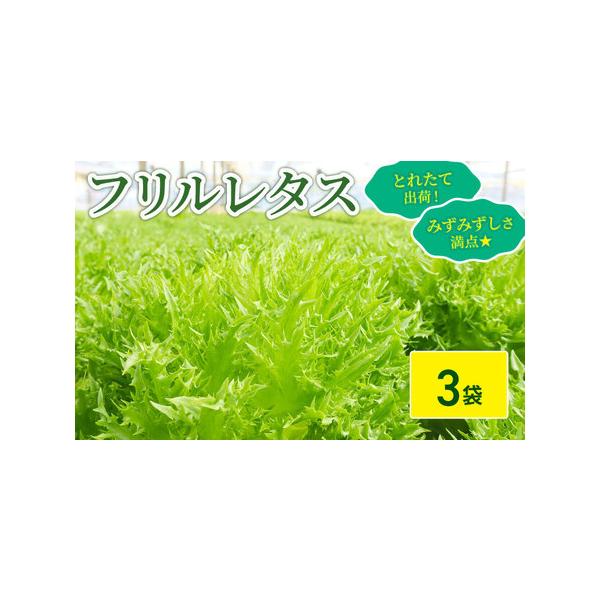 ■ 容量　3袋（計 約900g）■ 配送について　2025/11/11-2026/05/30　■3日以上不在になるご予定がありましたら、必ずご記入ください。　ご不在が続いたことで果実が傷んだ場合、代品等の対応はいたしかねます。　■発送時期は...