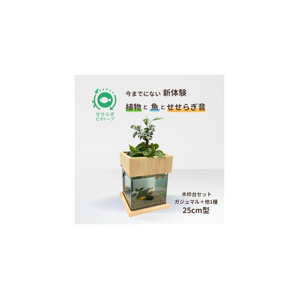 ■ 容量　A：ガラス水槽　1個　B：植物植付済ろ過装置(※植物はガジュマル＋他1種）　1個　C：循環ポンプ　1個　D：木製枠台　1個　　＜サイズ＞　全体サイズ：横30cm、奥行30cm、高さ70cm（植物込）　（A：25cm角）　　※画像は...