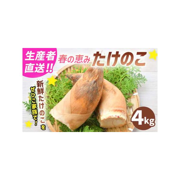 ■ 容量　合計4kg以上（2〜5本）■ 配送について　2026年4月上旬〜下旬の期間に発送予定　タイプ：【冷蔵】