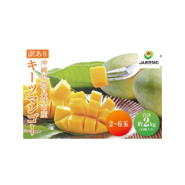 ■ 容量　キーツマンゴー 2〜6玉(約2kg)白箱入り　※内容量が前後する場合がございます。予めご了承くださいませ。　階級：3L〜S■ 配送について　冷蔵配送　ご入金確認後、2026年8月より順次発送いたします。　※生育状況により配送時期が...