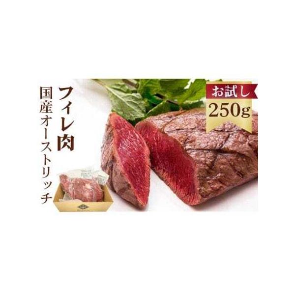 ■ 容量　【内容】　フィレ肉　約250g（250〜300gでお届け）　※不定貫部位のため　　賞味期限：冷凍保存で約6か月程度　提供元：美里オーストリッチファーム■ 配送について　通年（入金確認から1〜4週間程度）　タイプ：【冷凍】