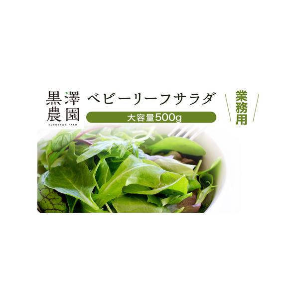 ■ 容量　ベビーリーフ500g 業務用パック■ 配送について　寄附入金確認後、2〜3週間程度で発送　※クール便対象 配送できない地域がございます※　 ・伊豆諸島：青ヶ島村（青ヶ島）・利島村（利島）・御蔵島村（御蔵島）・式根島　 ・小笠原諸島...